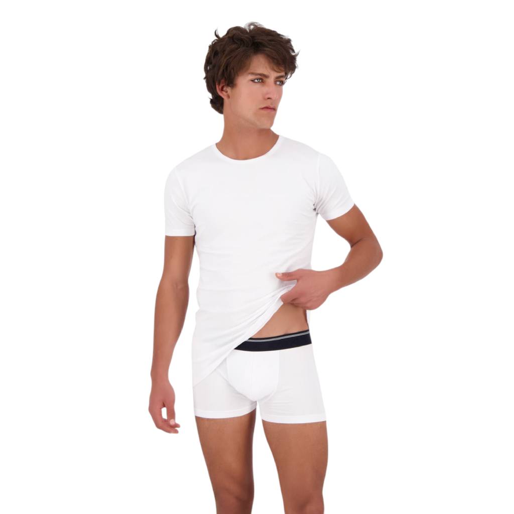 Lot  de 3 shortys homme en coton stretch