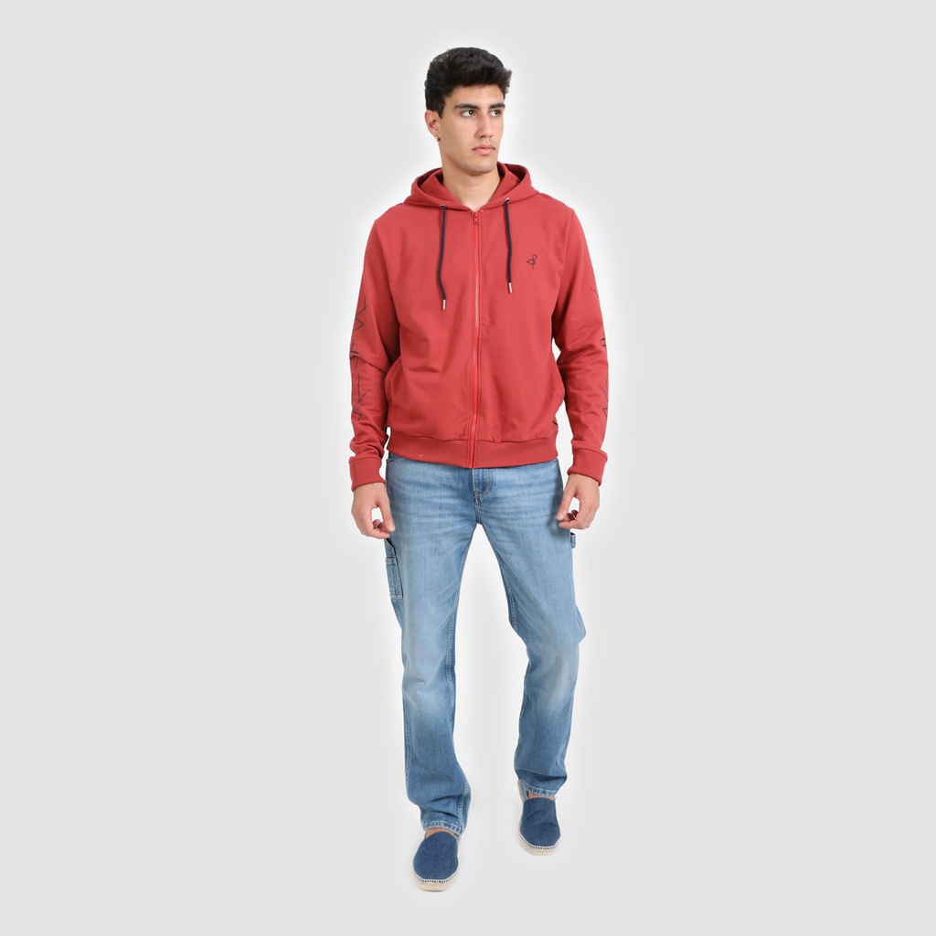Hoodie zippé homme POUVOIR & PUISSANCE