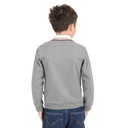 Sweat polo garçon avec broderie