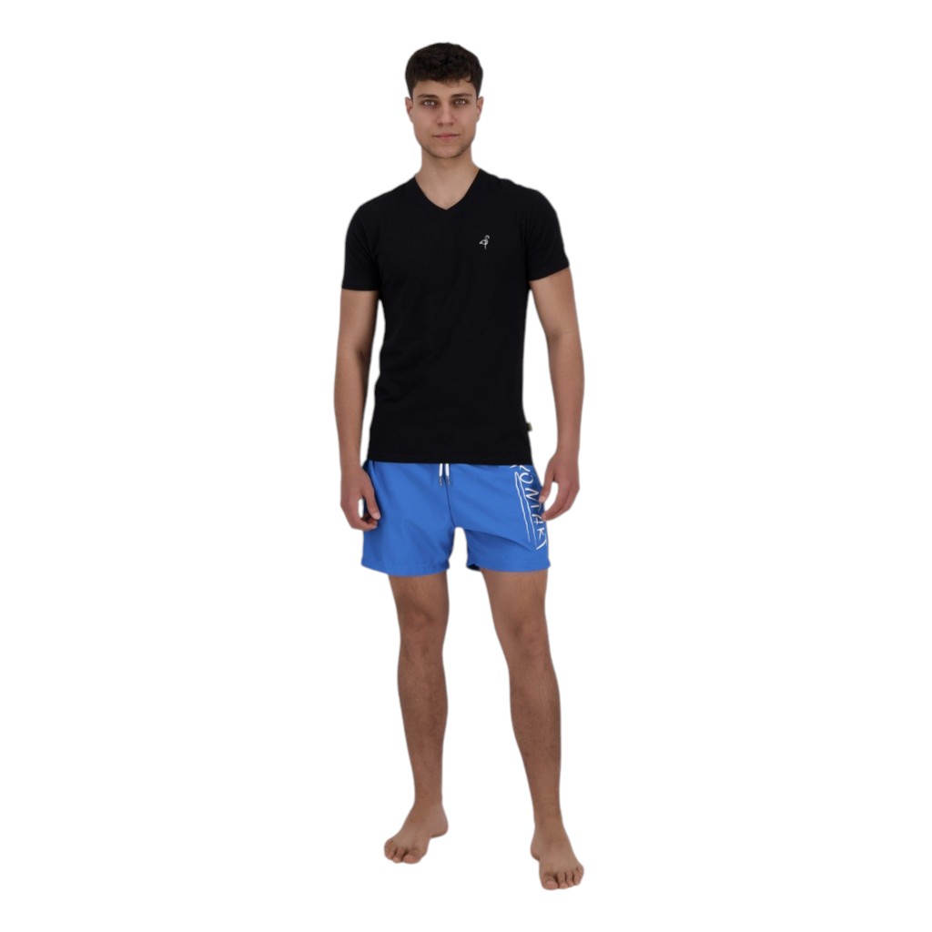T-shirt slim homme manches courtes col v avec  broderie