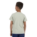 T-shirt flammé garçon manches courtes avec broderie