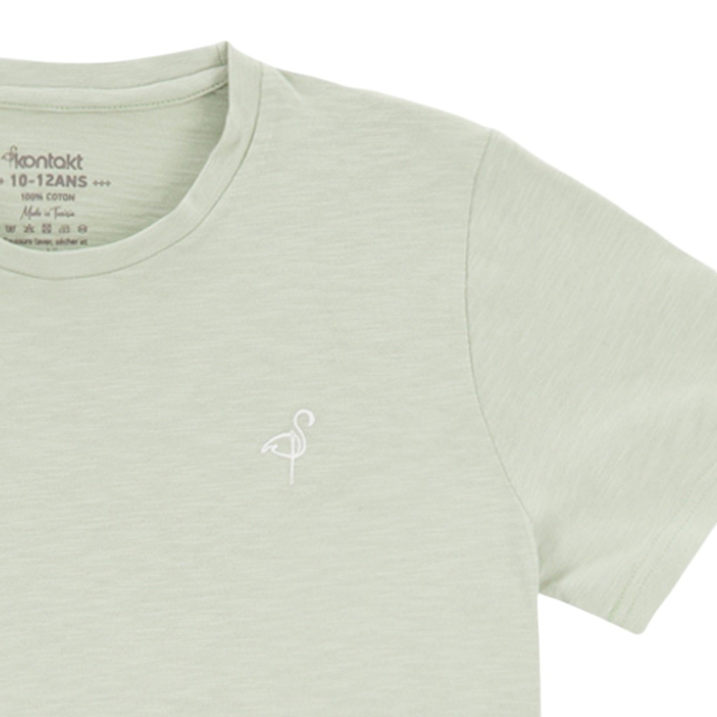 T-shirt flammé garçon manches courtes avec broderie