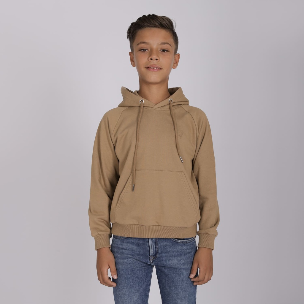 Hoodie garçon manches raglan avec broderie