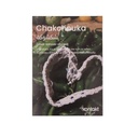 Carte postal kontakt CHAKCHOUKA