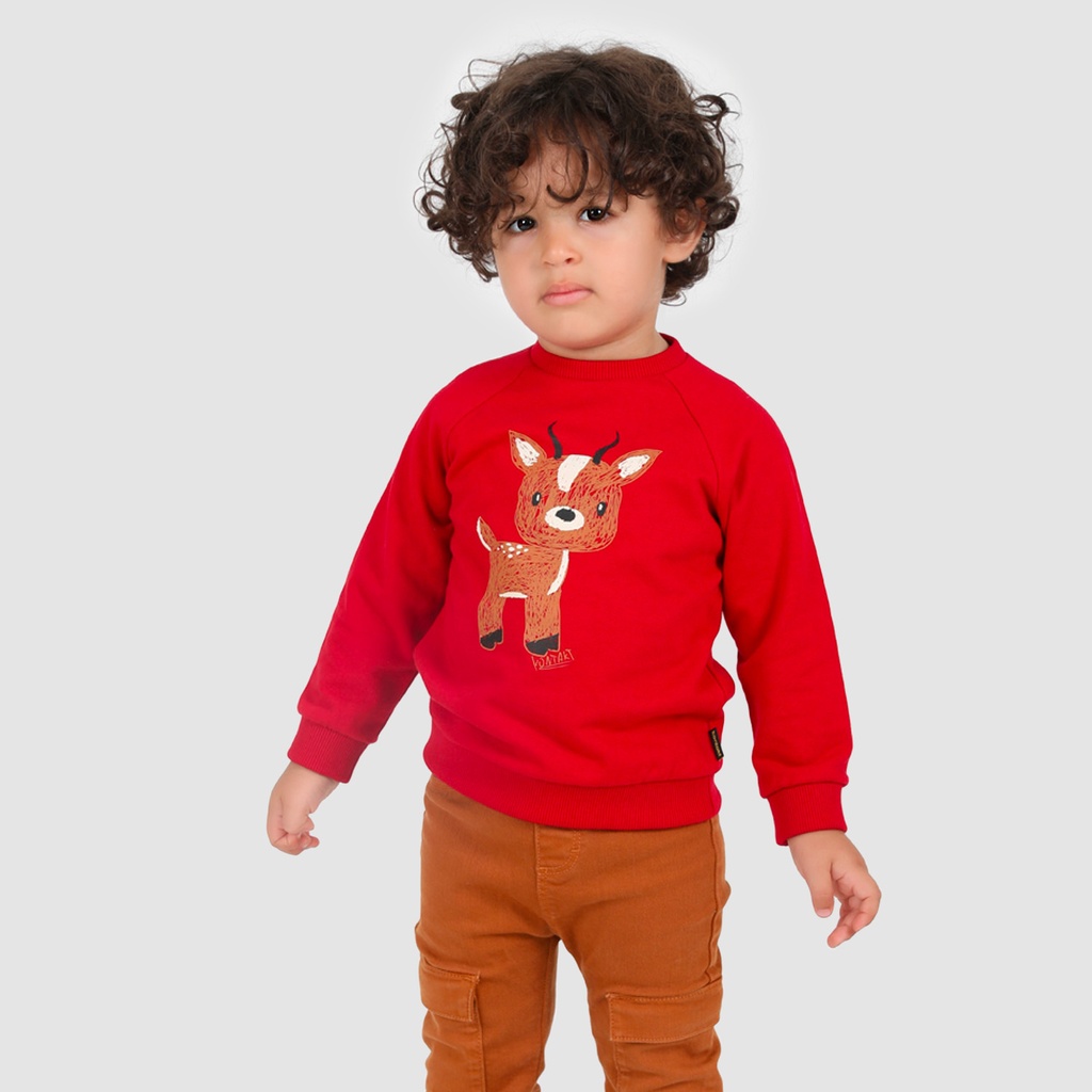 Sweat bébé manches raglan GAZELLE