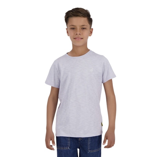 T-shirt flammé garçon manches courtes avec broderie