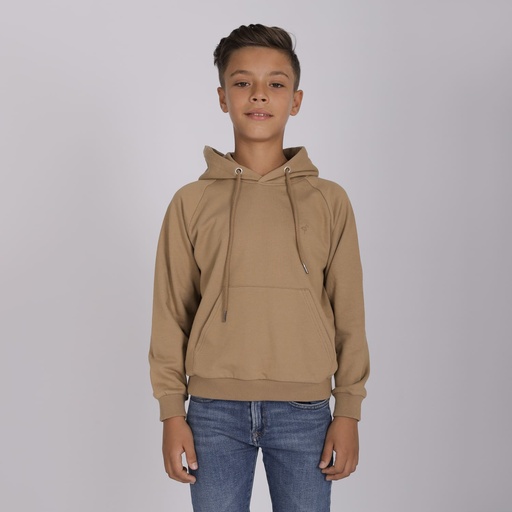 Hoodie garçon manches raglan avec broderie