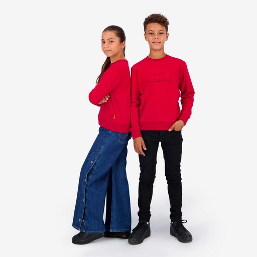 Sweat unisexe Enfant THIS YEAR باش نكسر الدنيا